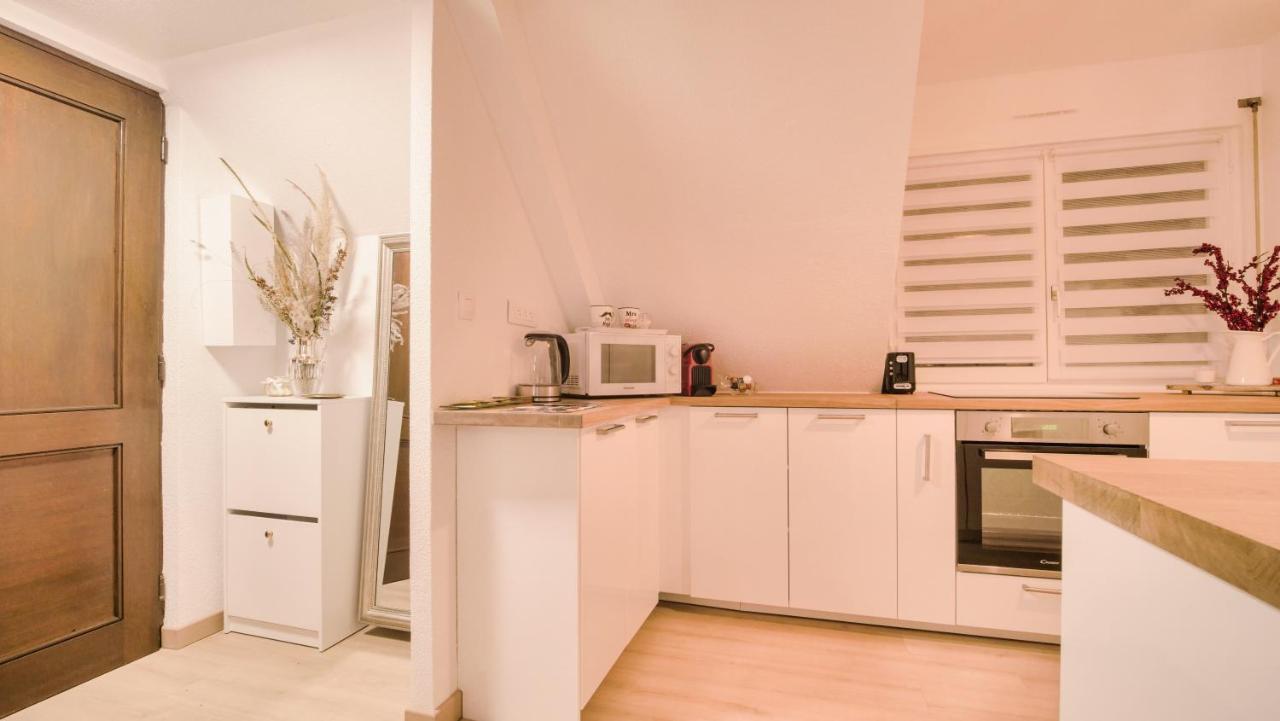Superbe Appartement Au Coeur Du Colmar Exterior foto
